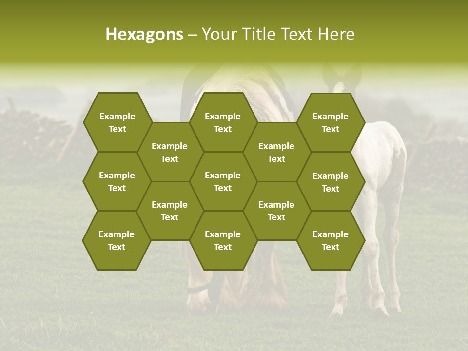 Horse And Foal PowerPoint Template