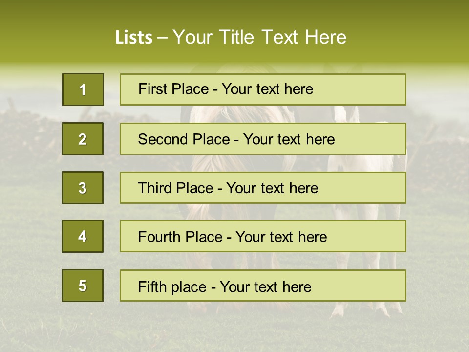 Horse And Foal PowerPoint Template