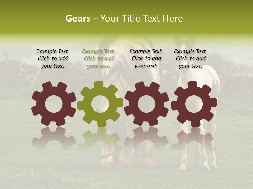 Horse And Foal PowerPoint Template