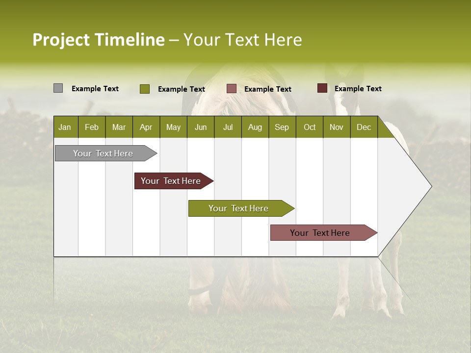 Horse And Foal PowerPoint Template