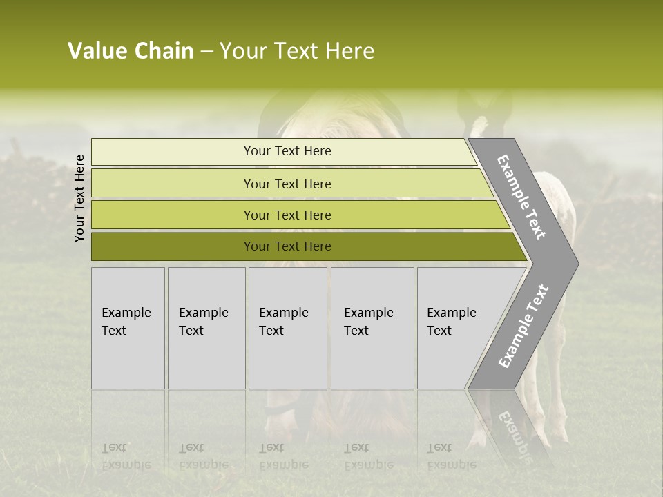 Horse And Foal PowerPoint Template