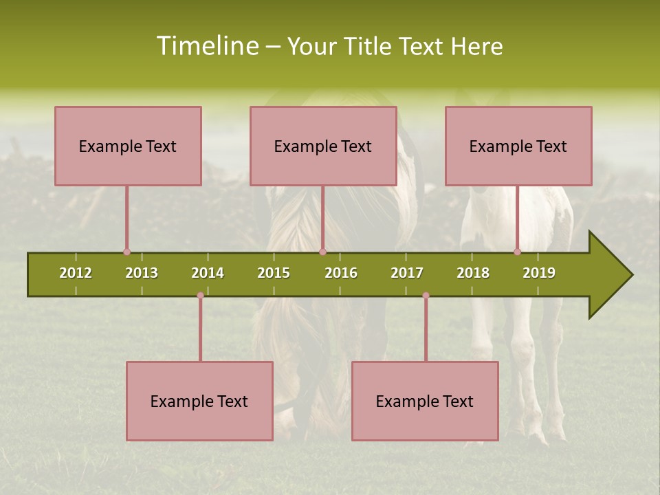Horse And Foal PowerPoint Template
