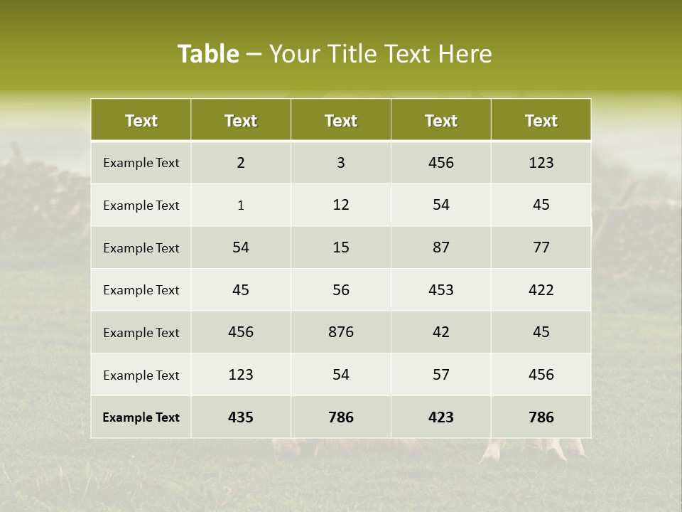 Horse And Foal PowerPoint Template