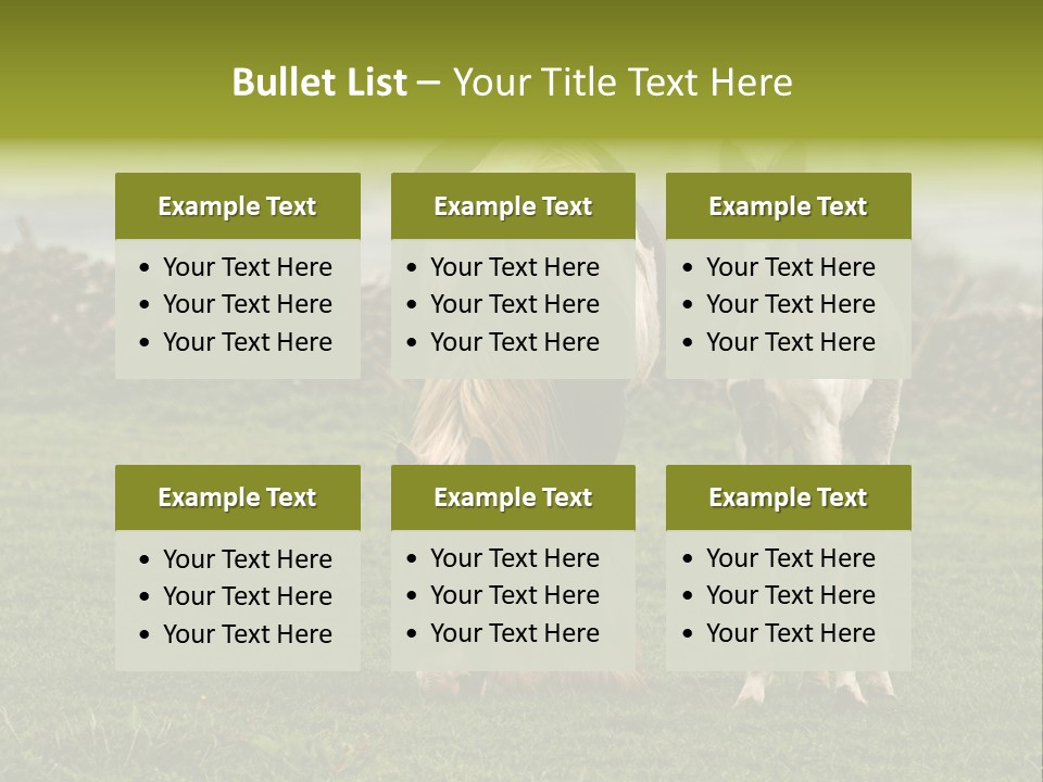 Horse And Foal PowerPoint Template