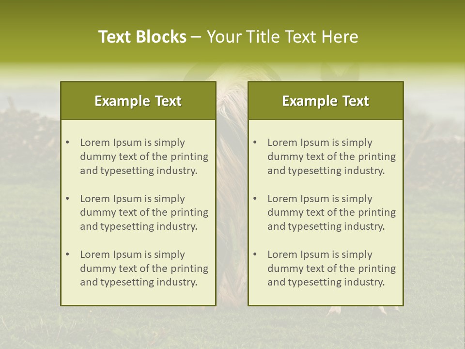 Horse And Foal PowerPoint Template
