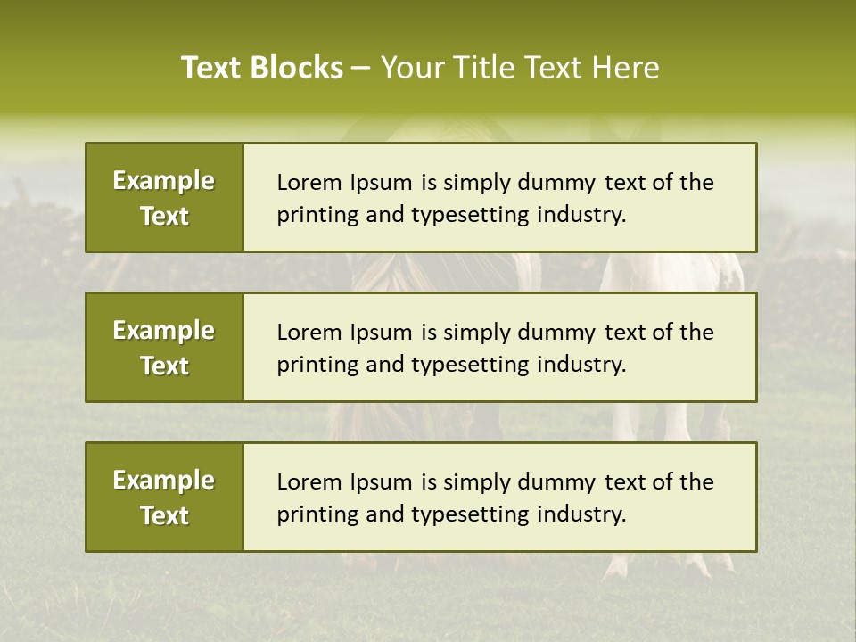 Horse And Foal PowerPoint Template