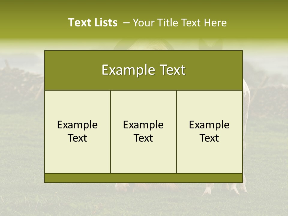 Horse And Foal PowerPoint Template