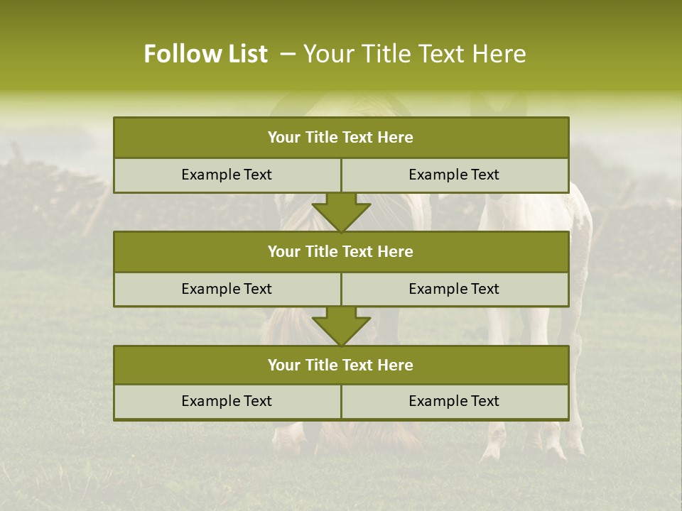 Horse And Foal PowerPoint Template