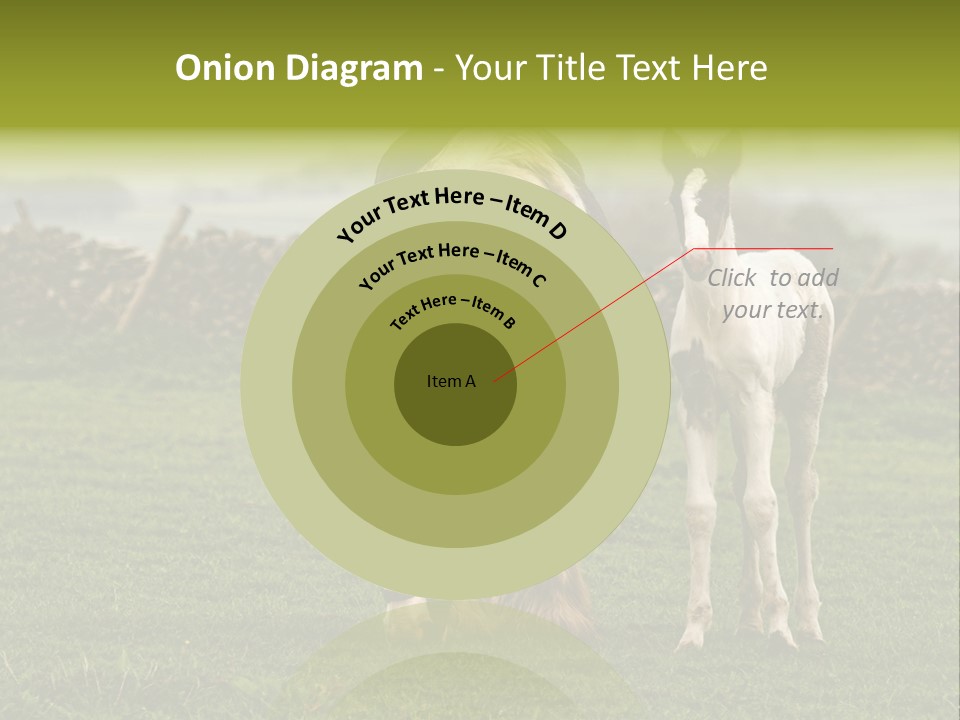 Horse And Foal PowerPoint Template