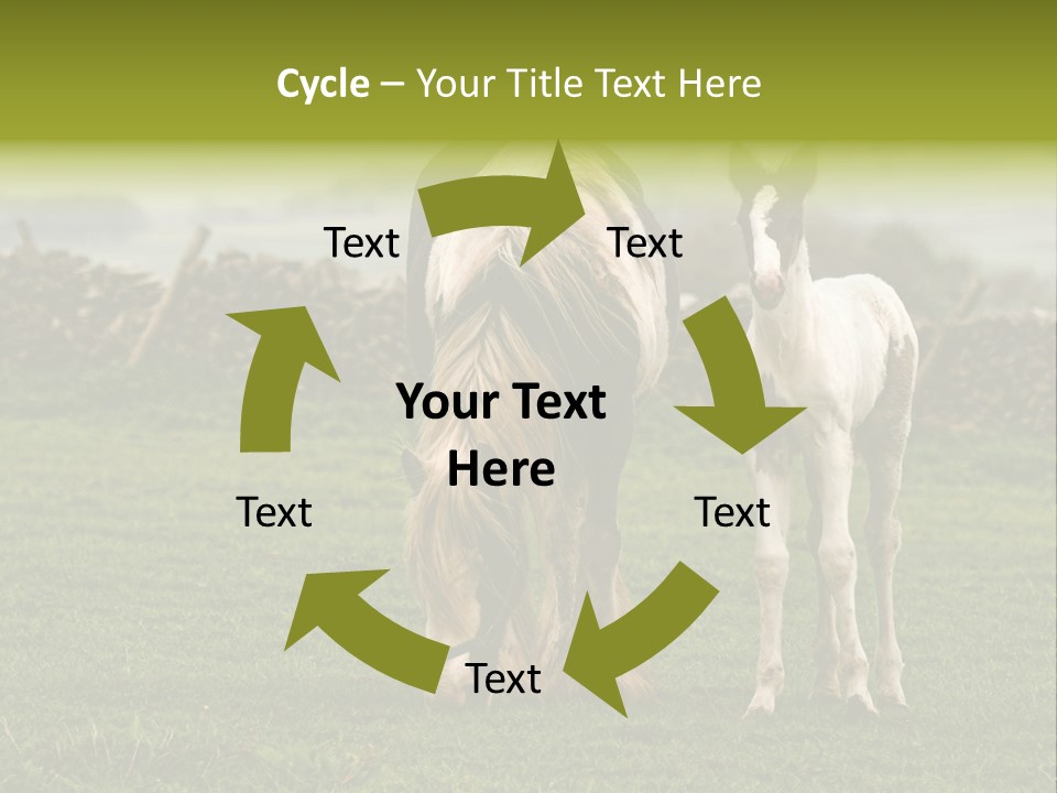 Horse And Foal PowerPoint Template