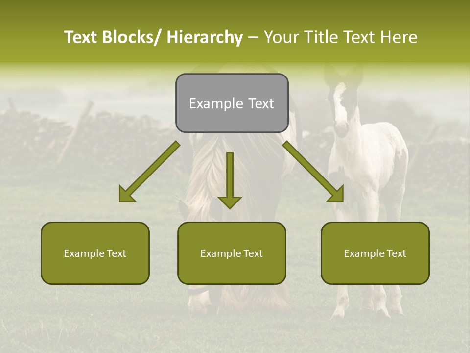 Horse And Foal PowerPoint Template