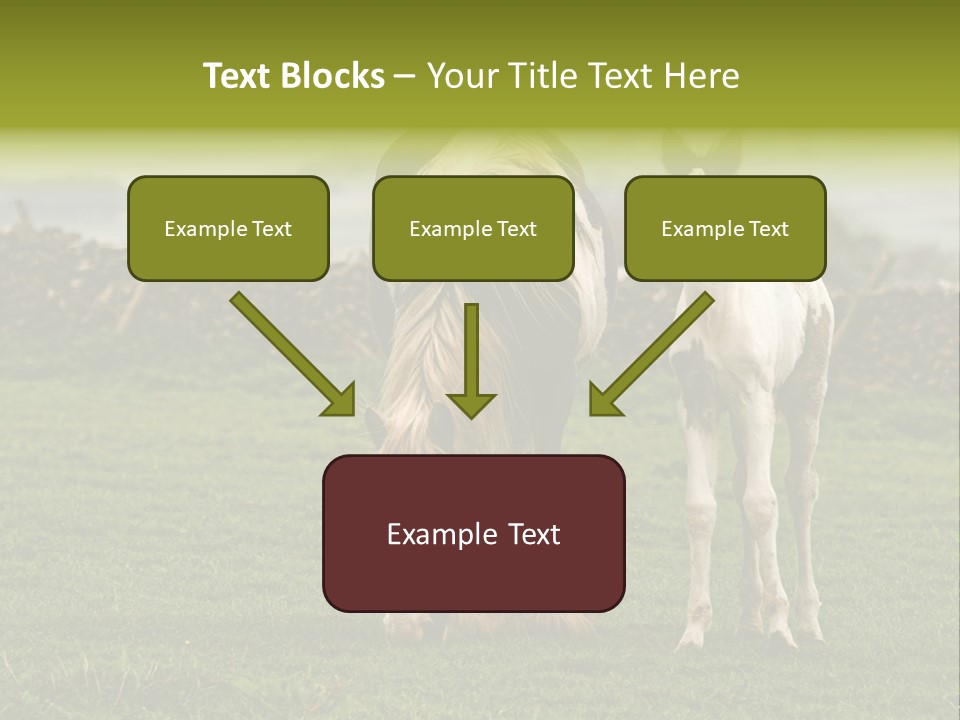 Horse And Foal PowerPoint Template