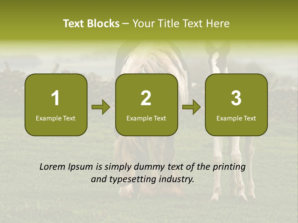 Horse And Foal PowerPoint Template