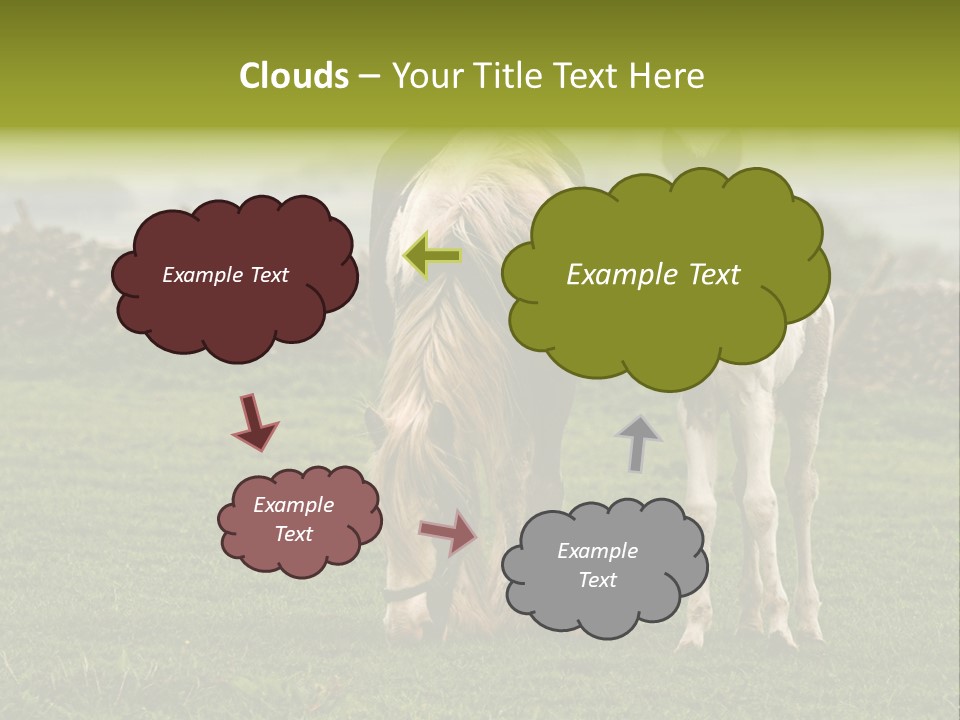 Horse And Foal PowerPoint Template