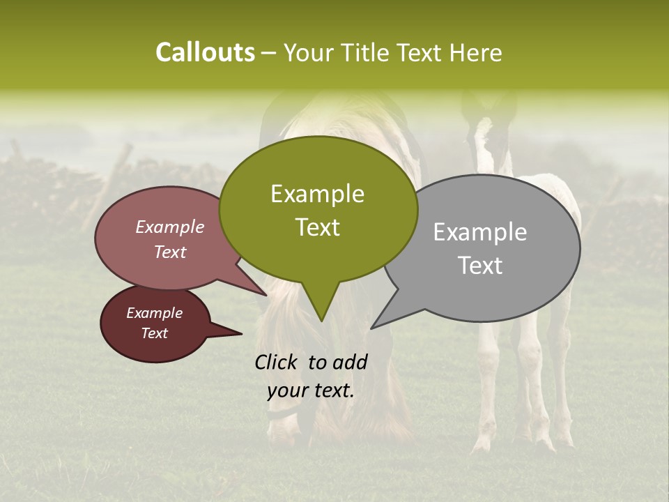 Horse And Foal PowerPoint Template