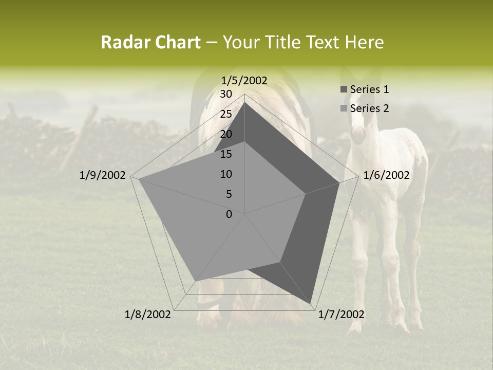 Horse And Foal PowerPoint Template