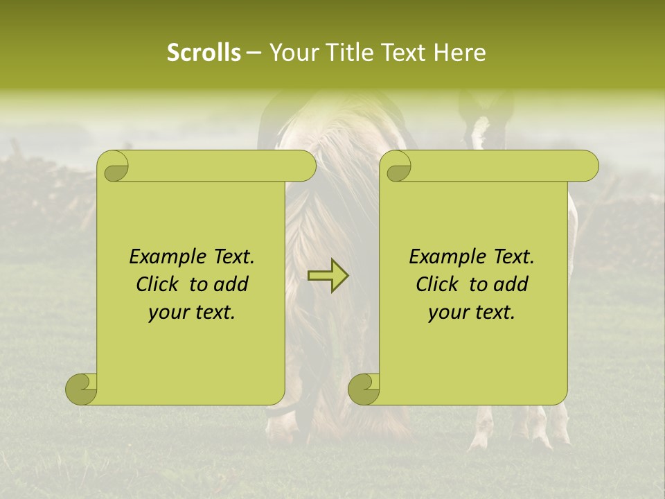 Horse And Foal PowerPoint Template