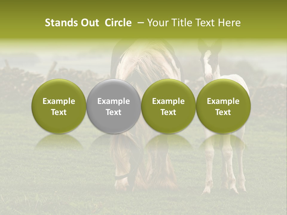 Horse And Foal PowerPoint Template