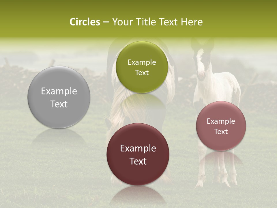 Horse And Foal PowerPoint Template
