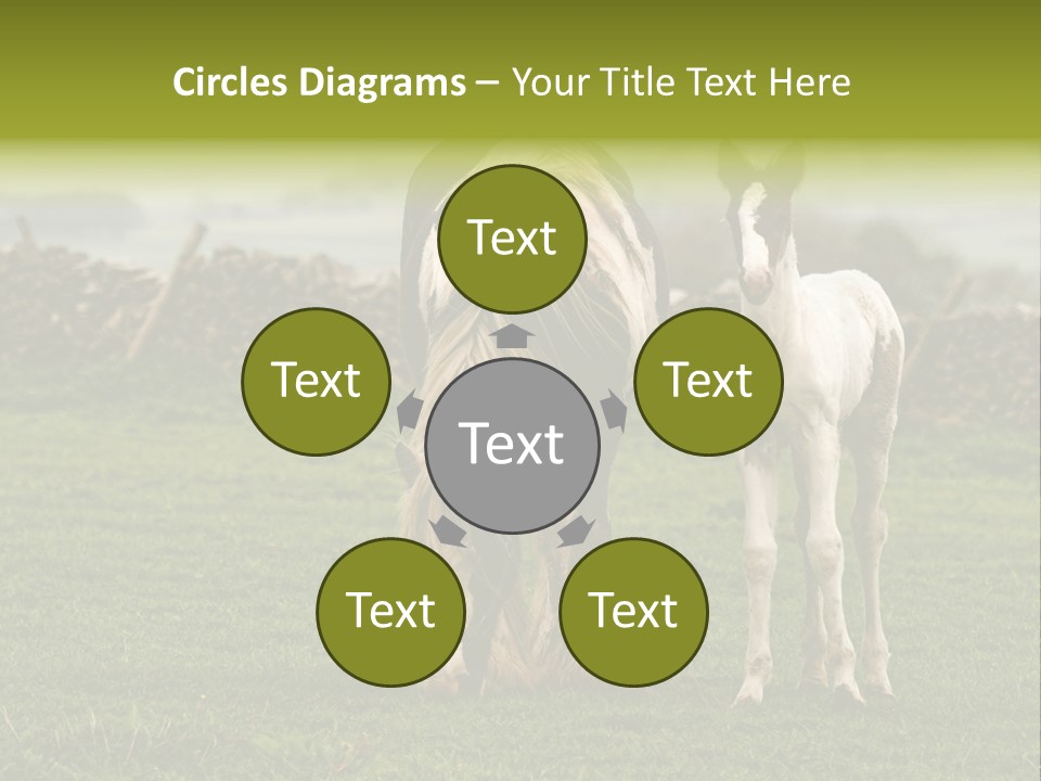 Horse And Foal PowerPoint Template
