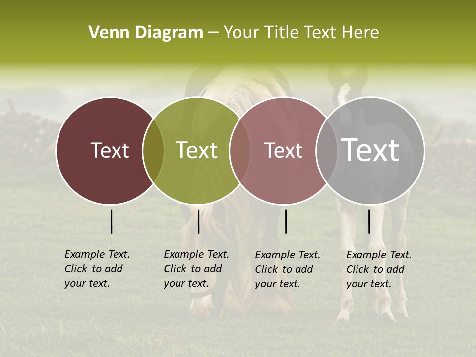 Horse And Foal PowerPoint Template