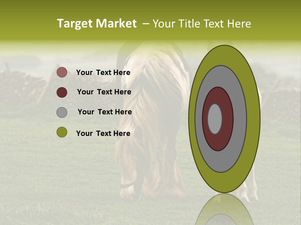 Horse And Foal PowerPoint Template