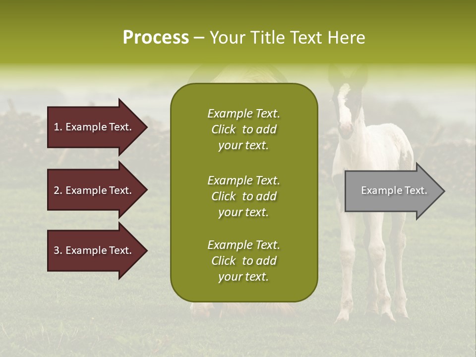 Horse And Foal PowerPoint Template