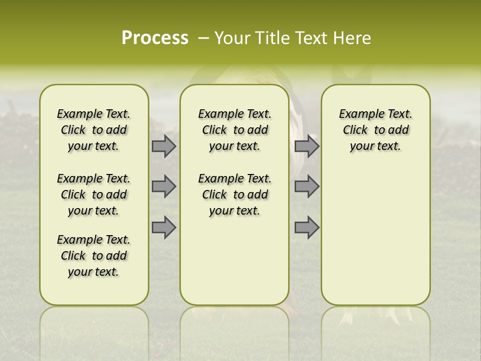 Horse And Foal PowerPoint Template