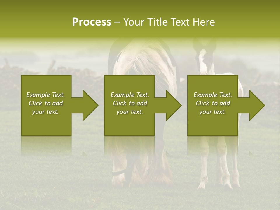 Horse And Foal PowerPoint Template