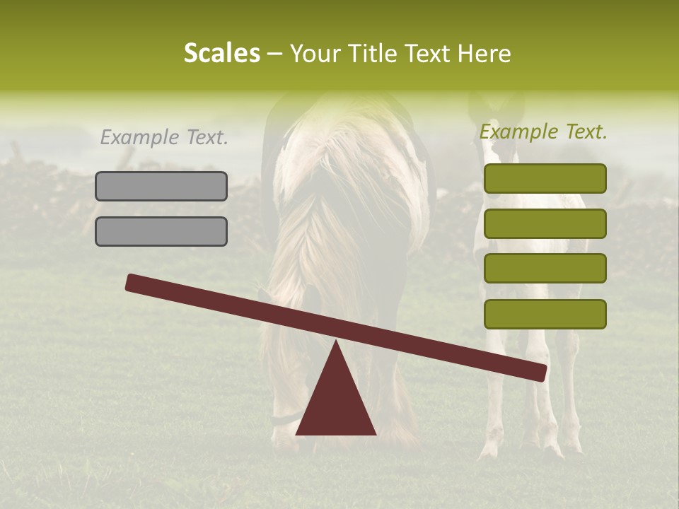 Horse And Foal PowerPoint Template