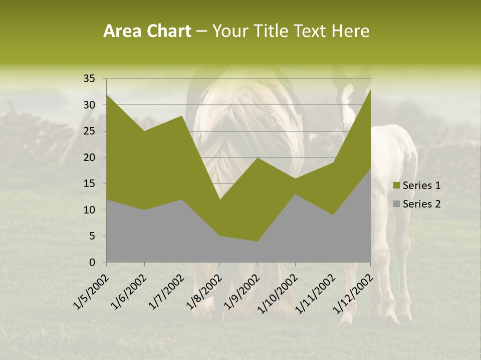 Horse And Foal PowerPoint Template