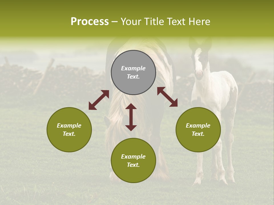 Horse And Foal PowerPoint Template