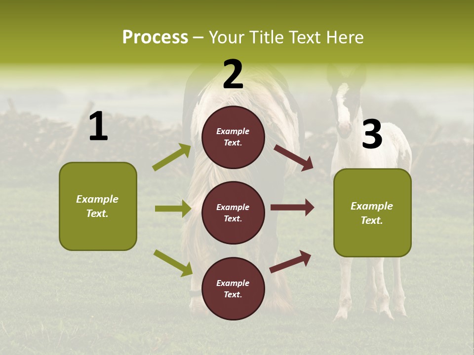 Horse And Foal PowerPoint Template