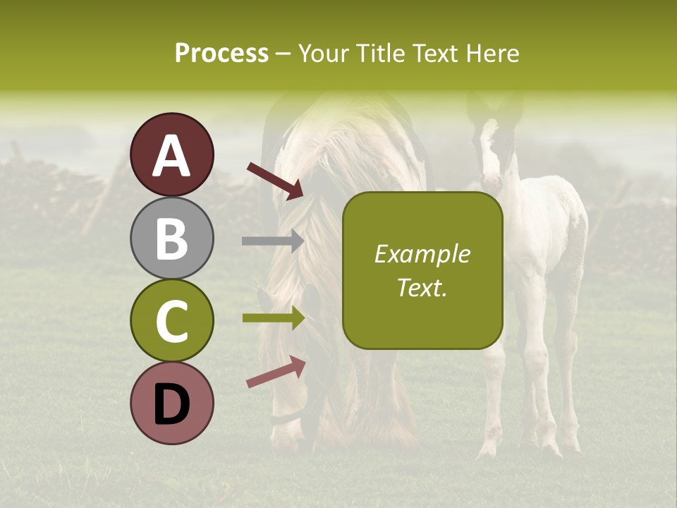 Horse And Foal PowerPoint Template