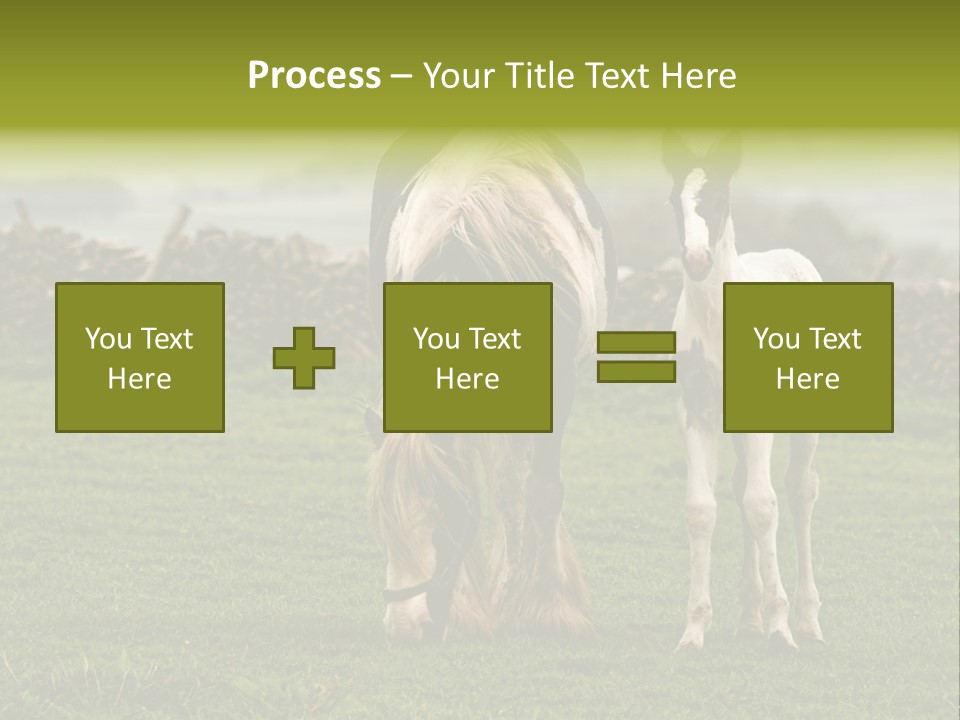 Horse And Foal PowerPoint Template