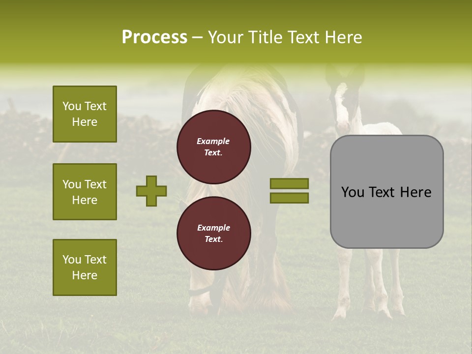 Horse And Foal PowerPoint Template