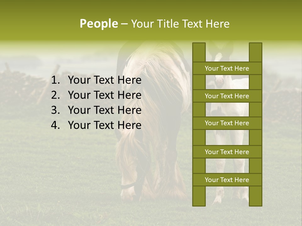 Horse And Foal PowerPoint Template