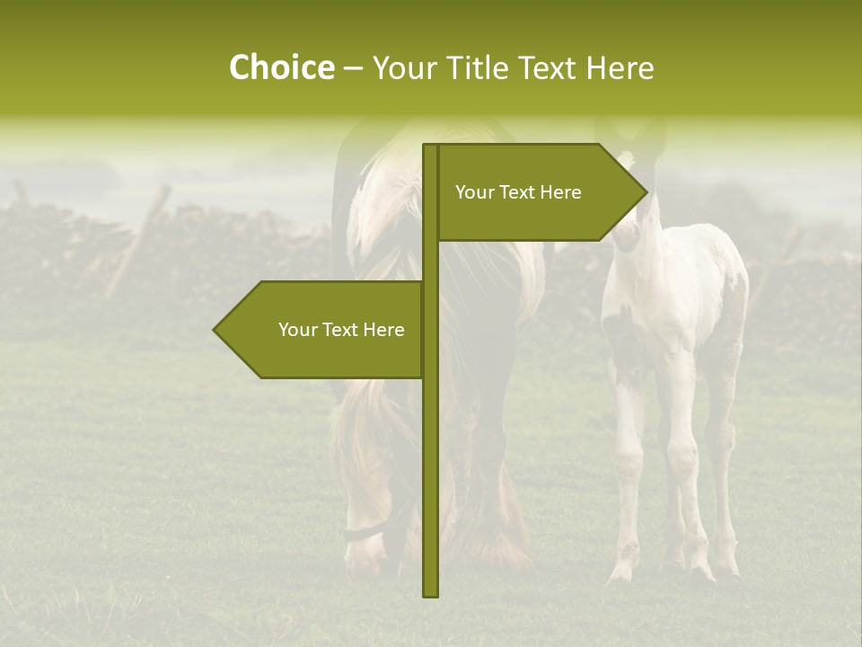 Horse And Foal PowerPoint Template