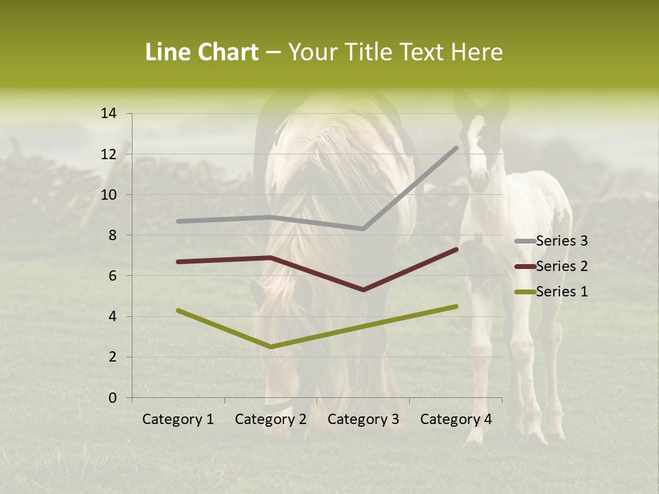 Horse And Foal PowerPoint Template