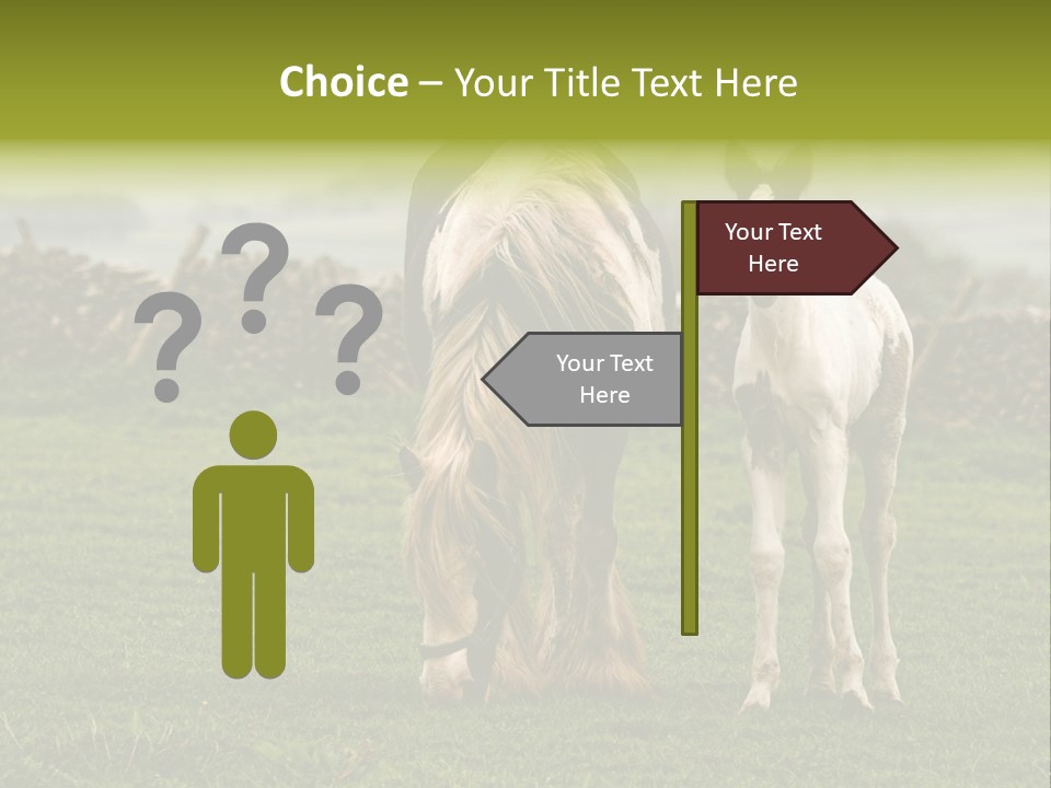 Horse And Foal PowerPoint Template