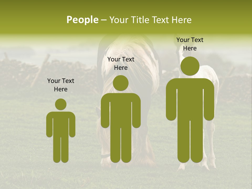 Horse And Foal PowerPoint Template