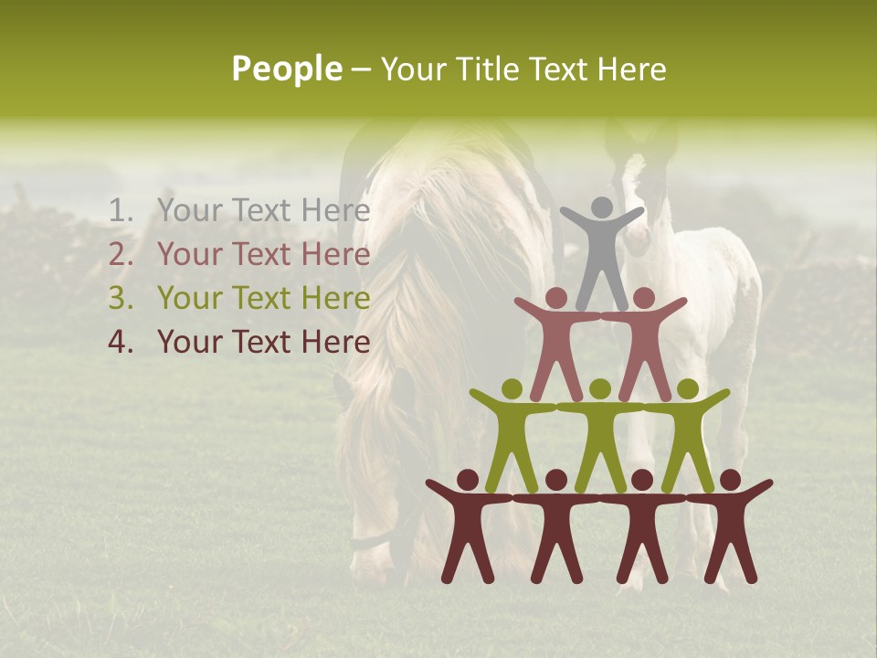 Horse And Foal PowerPoint Template