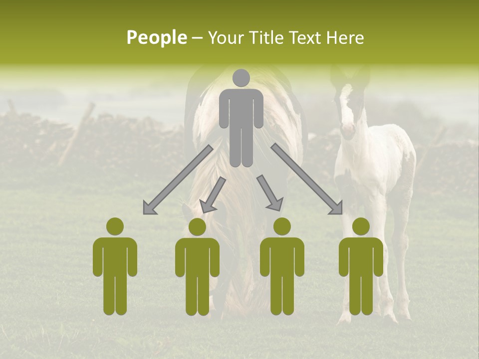 Horse And Foal PowerPoint Template