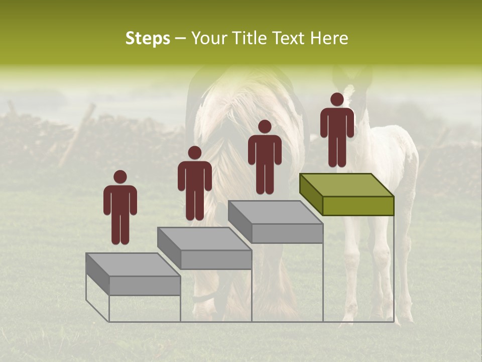 Horse And Foal PowerPoint Template