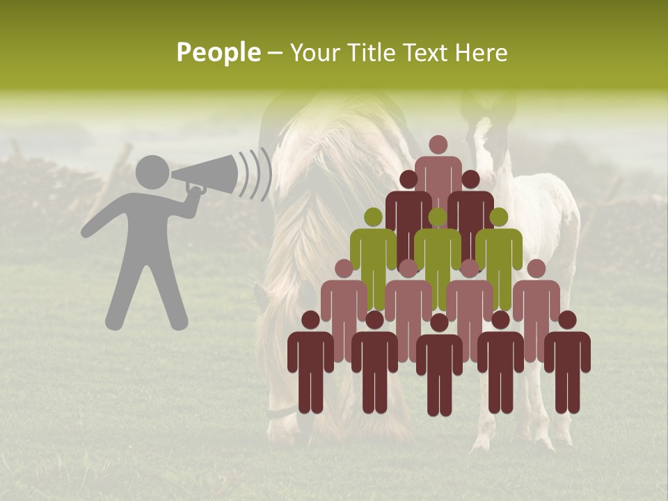 Horse And Foal PowerPoint Template