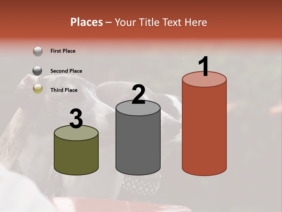 Three Whippets PowerPoint Template