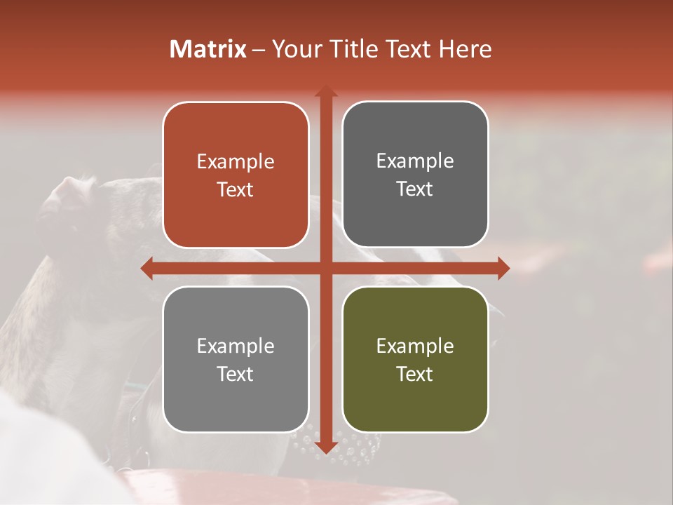 Three Whippets PowerPoint Template