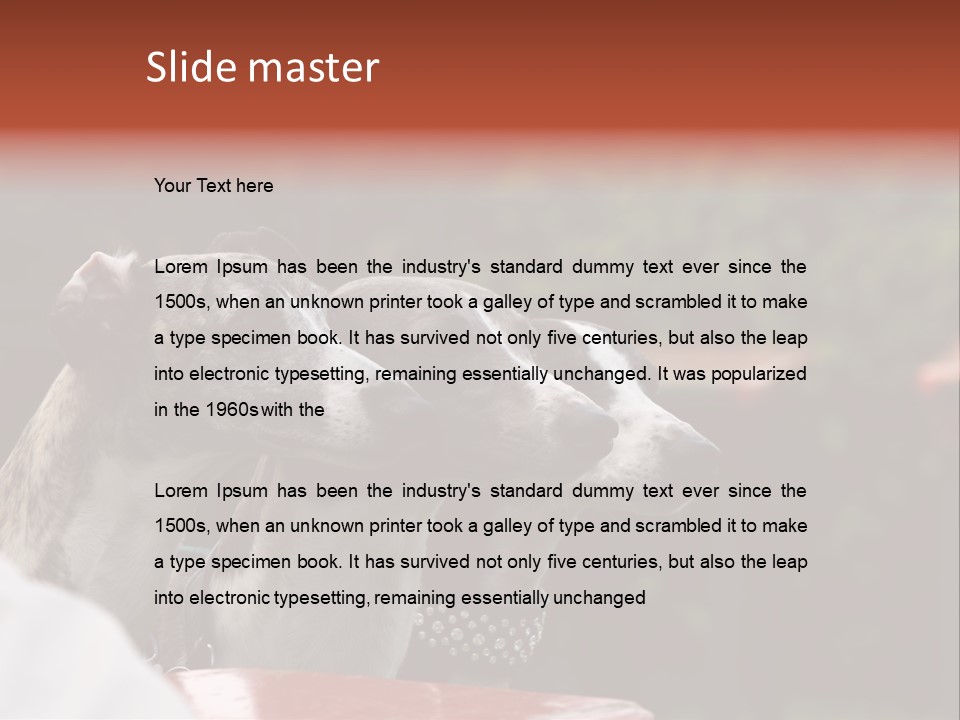 Three Whippets PowerPoint Template