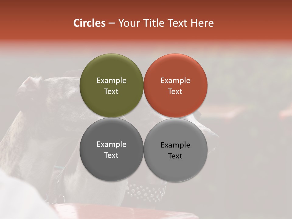 Three Whippets PowerPoint Template