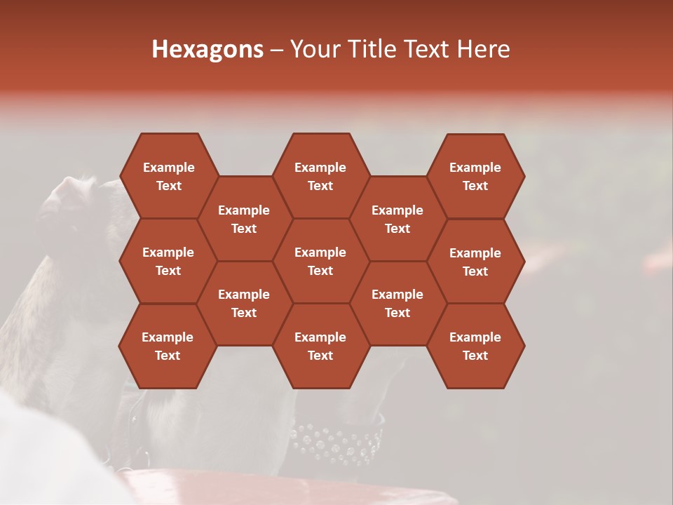 Three Whippets PowerPoint Template